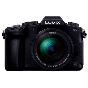 ☆Panasonic / パナソニック LUMIX DMC-G8M 標準ズームレンズキット 