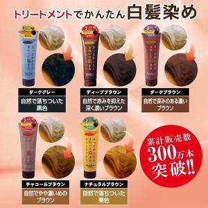 白髪染め ヘアカラートリートメント カバーグレ...の詳細画像1