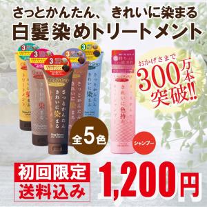 初回限定 レビューを書いて送料込みの特別価格 白髪染め ヘアカラートリートメント カバーグレイシリーズ トリートメント240g ダイムヘルスケア｜d-shopstyle