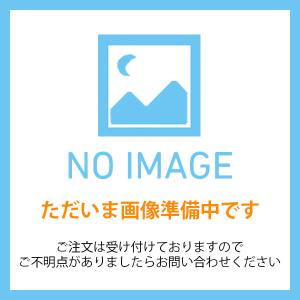 AUDI アウディ 純正品 ボルト N10734501の商品画像