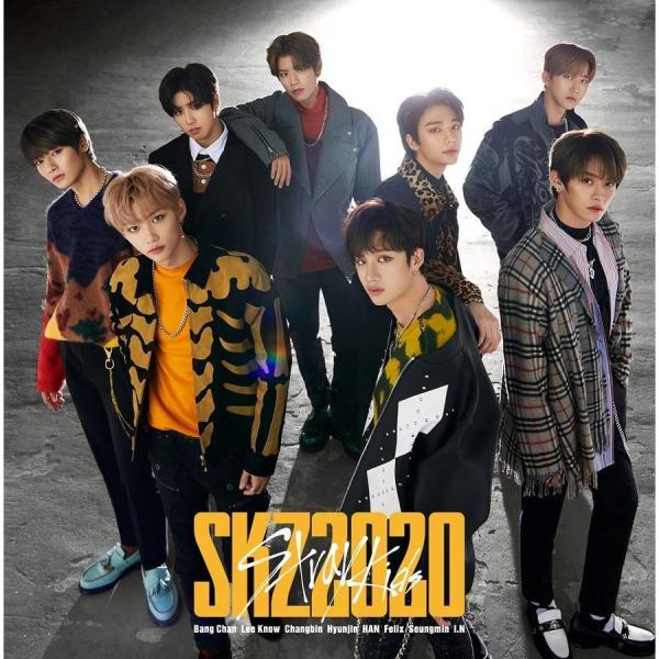 ボーナスストアPlus 10％対象 CD Stray Kids SKZ2020 通常盤 2CD スト...
