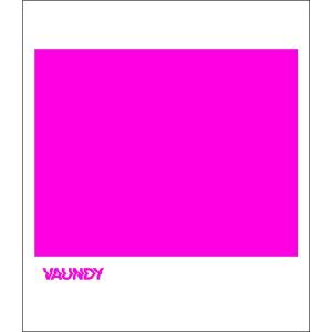 Vaundy 珍源祭 CD 初期音源 会場限定CD : スターアップストア - 通販