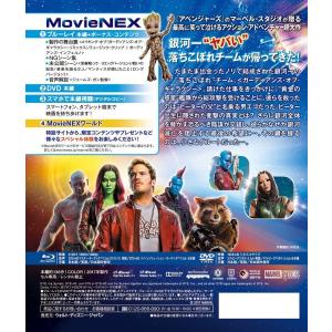 優良配送 期間限定アウターケース仕様 ガーディ...の詳細画像1