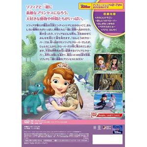 優良配送 (プレゼント用ギフトラッピング付) ...の詳細画像1