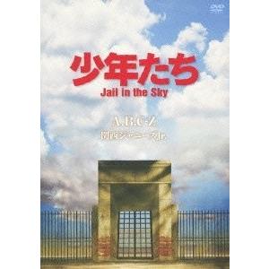 ボーナスストアPlus 10％対象 廃盤 少年たち Jail in the Sky DVD