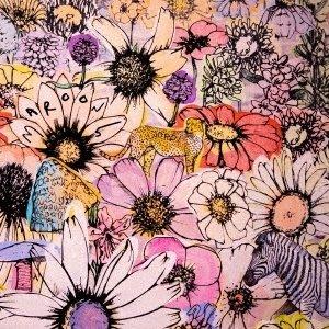 優良配送 国内盤 CD マルーン5 ジョーディ 通常盤 Maroon 5