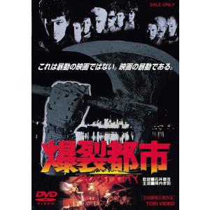 優良配送 愛のむきだし DVD 西島隆弘/AAA 満島ひかり 園子温 PR : Disc