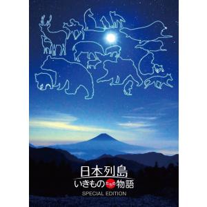 廃盤 レペゼン地球 DVD 地球TRIBEツアー ファイナル名古屋公演 3000枚