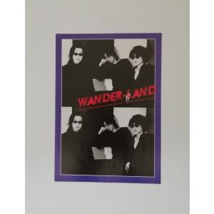 WANDS ファンクラブ会報 1998 vol.17 ワンズ 和久二郎 杉元一生