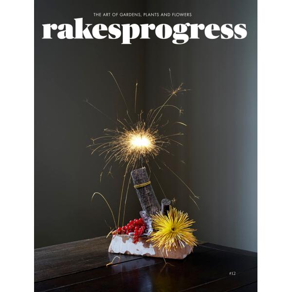 Rakesprogress Magazine #12