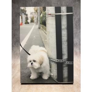 11月中旬入荷予定] ジェリー・マルケス キャンバスアート『Blue