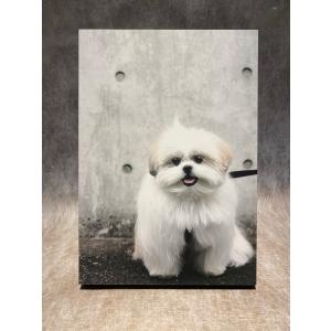 原宿ゴローズ大全Vol.1 : 代官山 蔦屋書店 ヤフー店 - 通販 - Yahoo