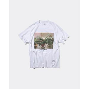 [10月上旬入荷予定] GASATANG 「生き...の商品画像