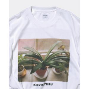 [10月上旬入荷予定] GASATANG 「生...の詳細画像1