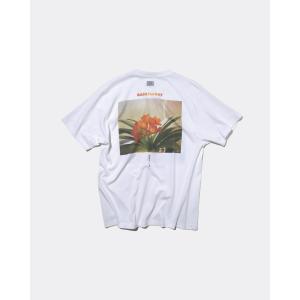 [10月上旬入荷予定] GASATANG 「生...の詳細画像2