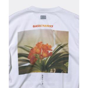 [10月上旬入荷予定] GASATANG 「生...の詳細画像3