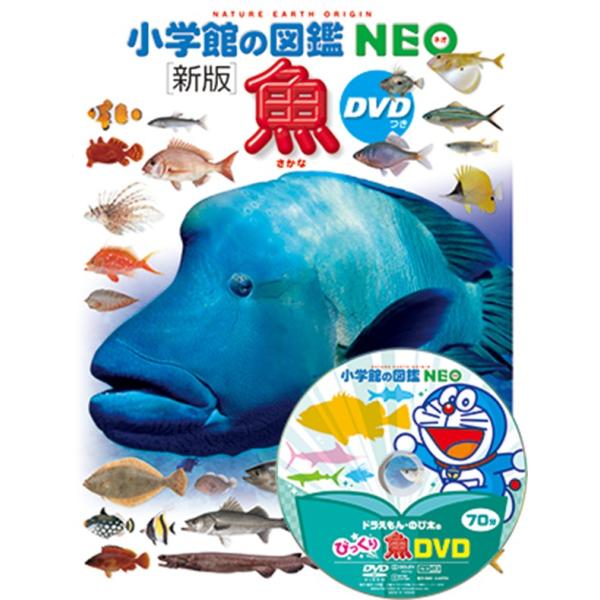 小学館の図鑑NEO [新版] 魚 DVD付き