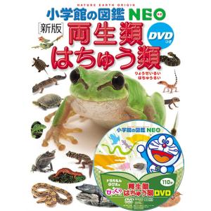 小学館の図鑑NEO 深海生物 DVD付き : 代官山 蔦屋書店 ヤフー店 - 通販