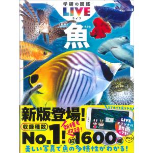 松浦啓一 小学館の図鑑NEO〔新版〕 魚 DVDつき ［BOOK+DVD］ Book