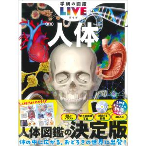 世界美術大全集 西洋編 全巻セット 28巻＋別巻 帯付き 函入り 大型本