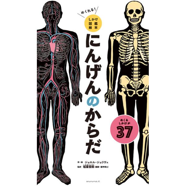 めくれる！しかけ図鑑絵本にんげんのからだ
