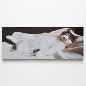 [12月中旬入荷予定 受注生産] 土肥美帆 写真プリント