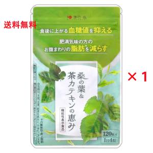 和漢の森　桑の葉&amp;茶カテキンの恵み120粒×3 Amazon | 和漢の森 桑の葉＆茶カテキンの恵み 1袋 120粒 血糖値