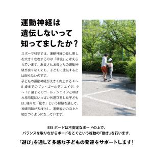 DABADA 【アウトレット品】 エスボード ...の詳細画像5