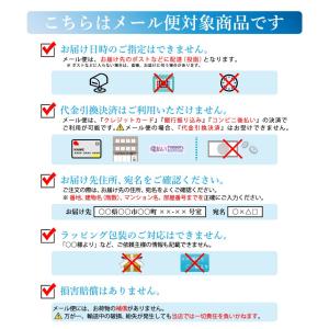 トレッキングキャップ ポール用 ラバーキャップ...の詳細画像5