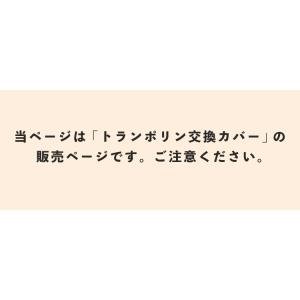 TVに紹介されました! DABADA トランポ...の詳細画像1