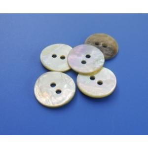 貝ボタン アコヤ貝 10mm 11.5cm 2...の詳細画像2