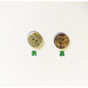 貝ボタン アコヤ貝 10mm 11.5cm 2...の詳細画像4