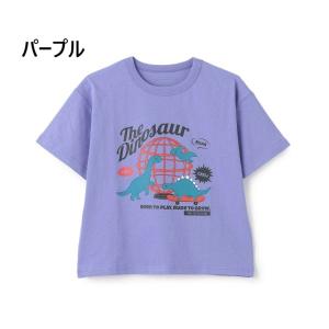 【30%OFF SALE セール】and D....の詳細画像5