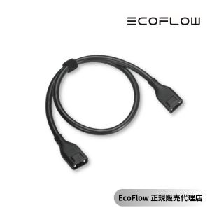 EcoFlow XT150ケーブル LXT150-1M-US エコフロー 送料無料 お見積対応可｜dachsjapan