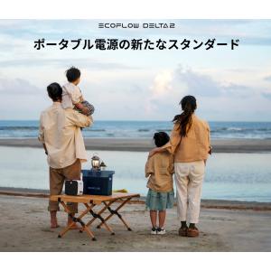 EcoFlow DELTA 2 1024Wh ...の詳細画像2