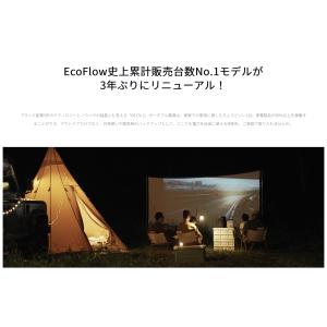 EcoFlow DELTA 2 1024Wh ...の詳細画像3