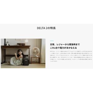 EcoFlow DELTA 2 1024Wh ...の詳細画像4