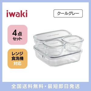 即出荷 iwaki イワキ 耐熱ガラス パック＆レンジ システムセット・ミニ