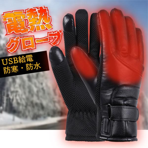 電熱 グローブ USB ヒーター 手袋 電気 バイク 自転車 バッテリー 保温 暖房 冬 ヒート 防...