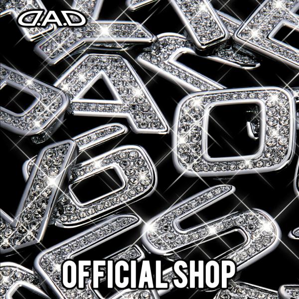 D.A.D ジュエリーイニシャルエンブレム 数字（ 6 ）SA729  DAD ギャルソン GARS...