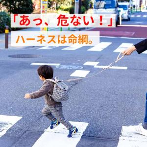 子供用ハーネス ベビーリュック 一升餅 リュッ...の詳細画像2