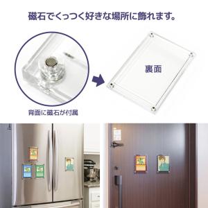 トレカ カードローダー 001_The Cas...の詳細画像3