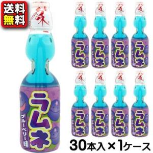 【送料無料】【ハタ鉱泉】瓶ラムネ〈ブルーベリー味〉 200ml(30本入)　　　　　　　　｛お祭り　...