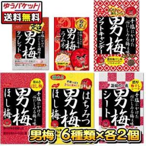 【ゆうパケット便】【送料無料】【ノーベル製菓】男梅シリーズ 6種類×各2個セット