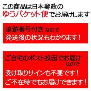 【ゆうパケット・メール便】【全国送料無料】エイ...の詳細画像1