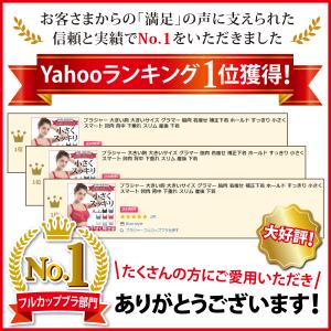 ブラジャー 大きいサイズ 横流れ 脇高 ホール...の詳細画像1