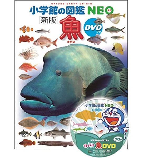 DVD付 新版 魚 (小学館の図鑑 NEO)