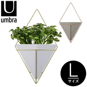 　 UMBRA アンブラ TRIGG LARGE WALL VESSEL トリッグラージウォールベッセル 470752 観葉植物 壁掛け インテリア プランター｜daibo