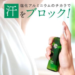 オドレミスト 53ml 塩化アルミニウム デオ...の詳細画像3