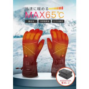 電熱グローブ バイク用 電熱手袋 オートバイ 表面撥水 充電式 MAX65℃ 3段階調温 裏起毛 スマホ対応 大容量バッテリー付き バイクグロー 裏起毛 男女兼用｜daichi190611